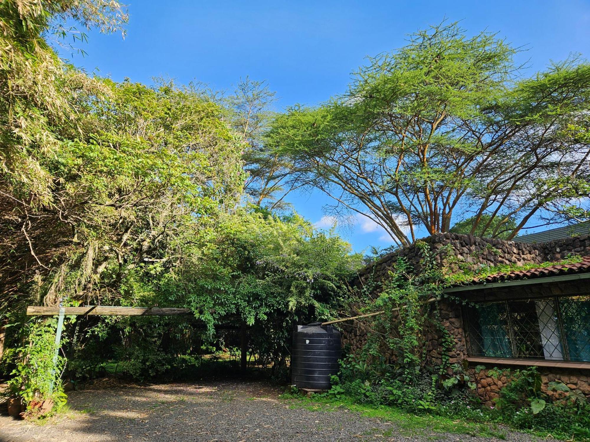 Mad Vervet Nairobi Backpackers Hostel Экстерьер фото
