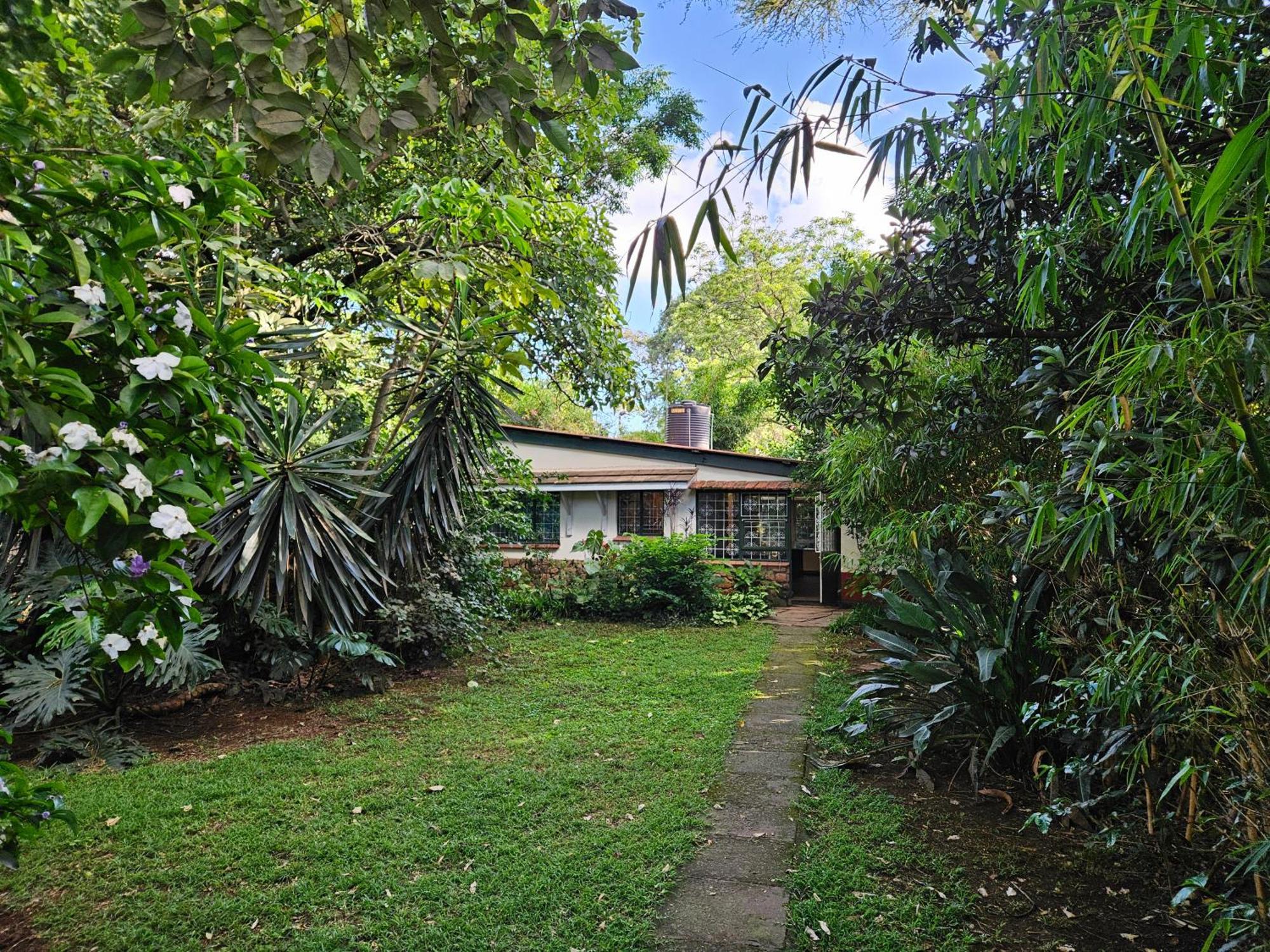 Mad Vervet Nairobi Backpackers Hostel Экстерьер фото