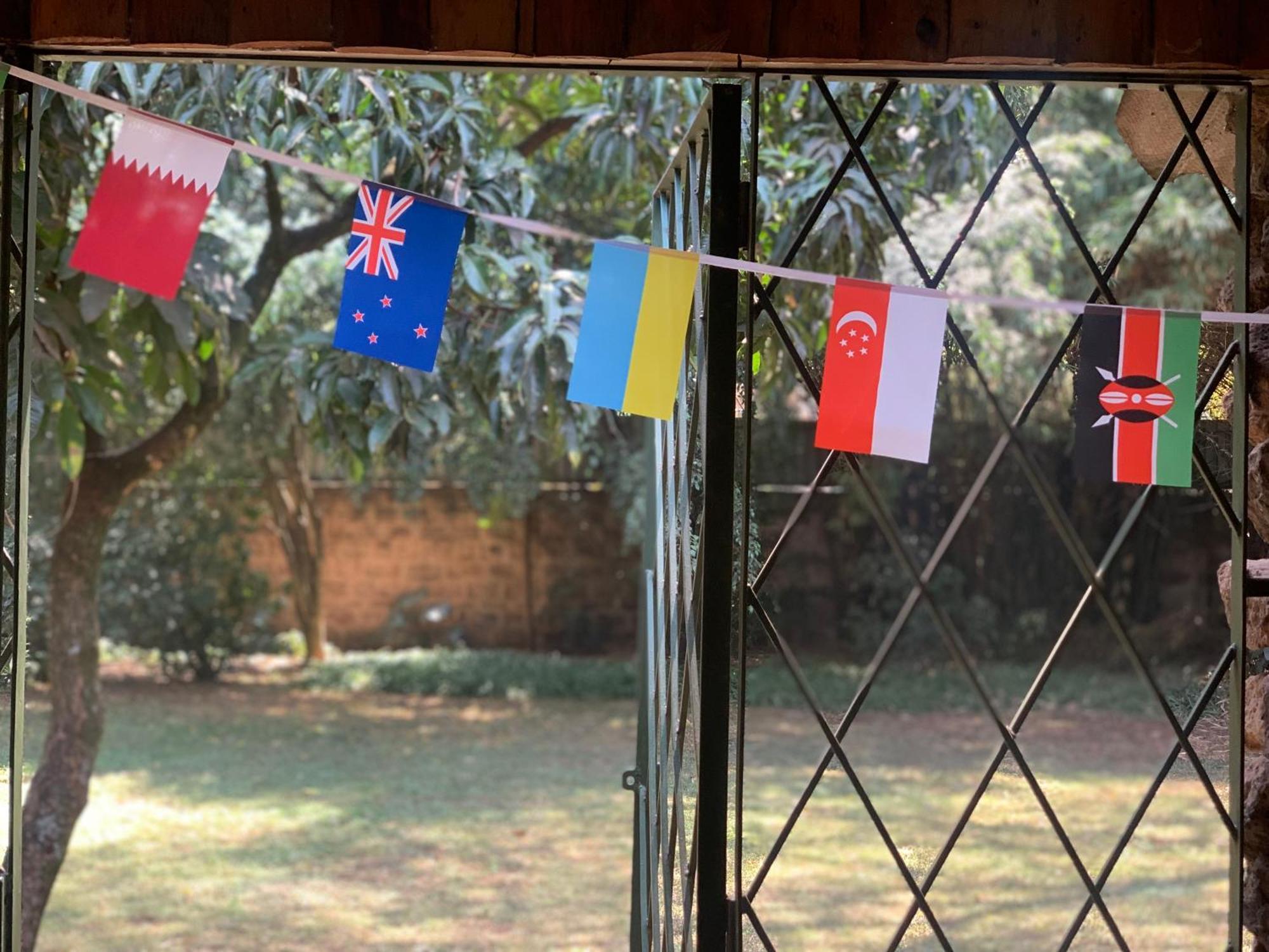 Mad Vervet Nairobi Backpackers Hostel Экстерьер фото