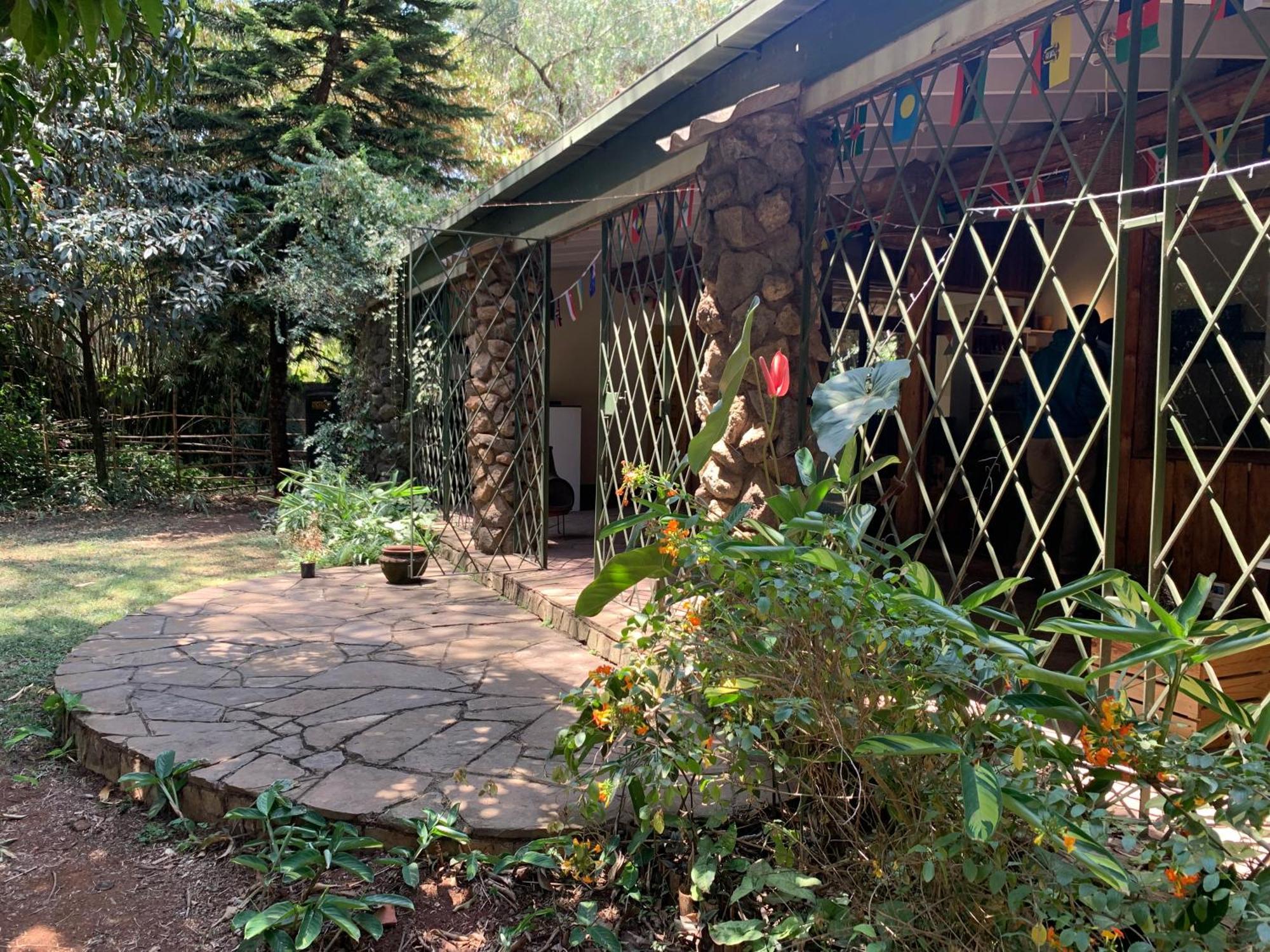 Mad Vervet Nairobi Backpackers Hostel Экстерьер фото
