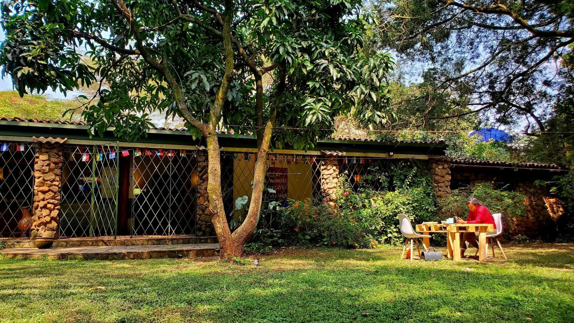 Mad Vervet Nairobi Backpackers Hostel Экстерьер фото